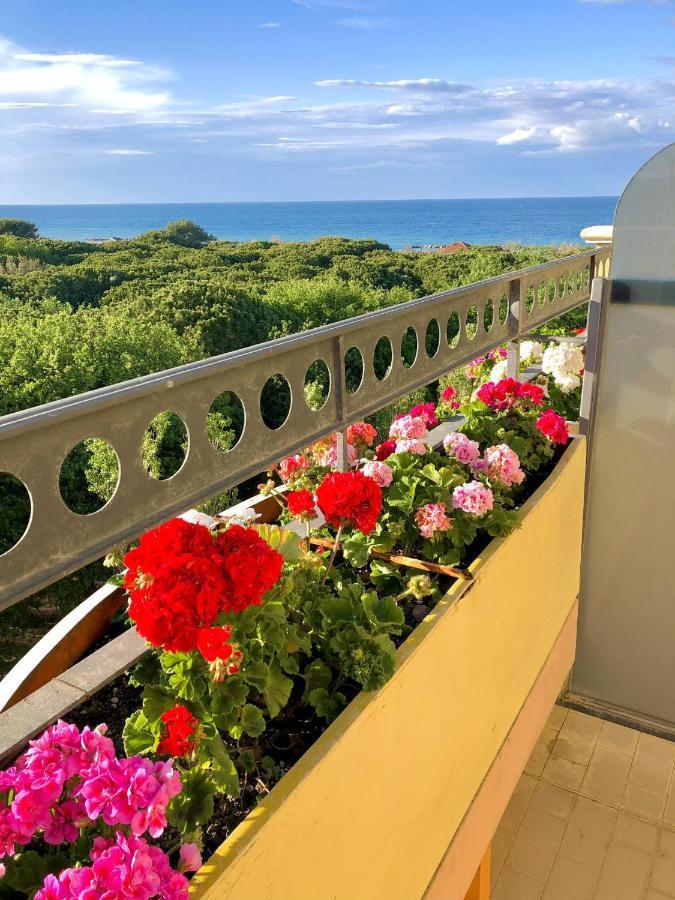 Hotel Caravel B&B Misano Adriatico Luaran gambar